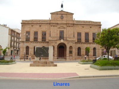 Acceso al Álbum de fotos de Linares